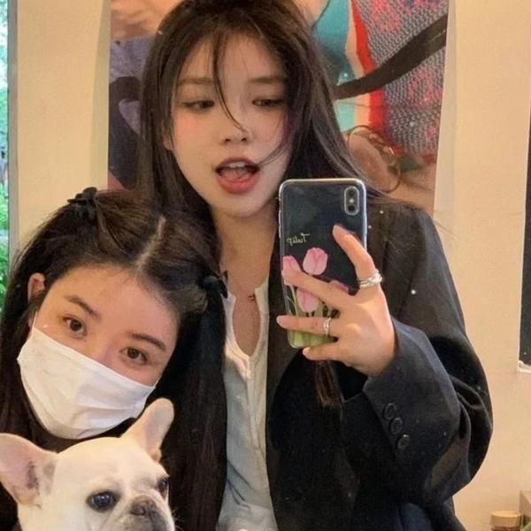 犬之力